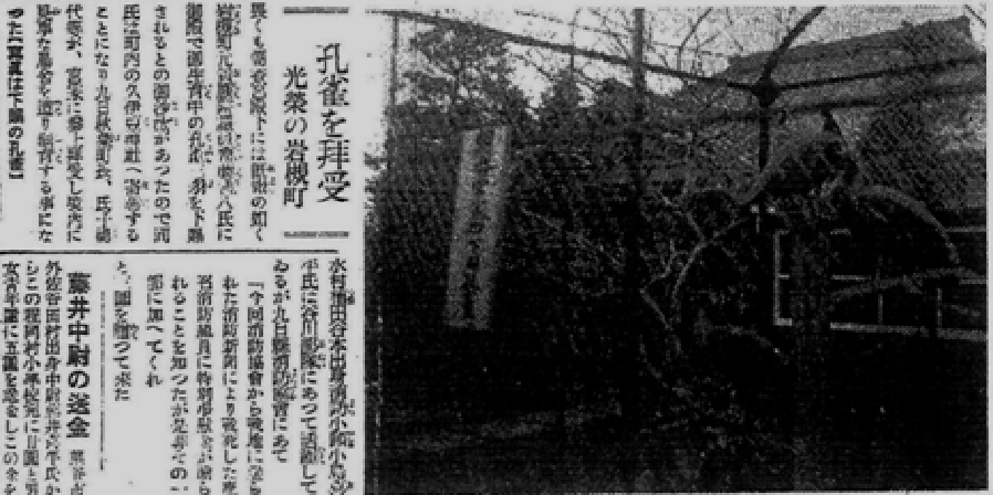 孔雀奉納を伝える新聞記事「孔雀を拝受　光栄の岩槻町」昭和１３年３月１０日付　読売新聞